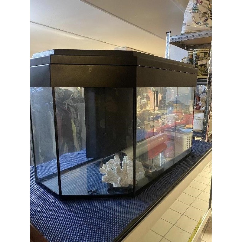 Aquarium 200 L avec déco