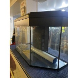 Aquarium 200 L avec déco