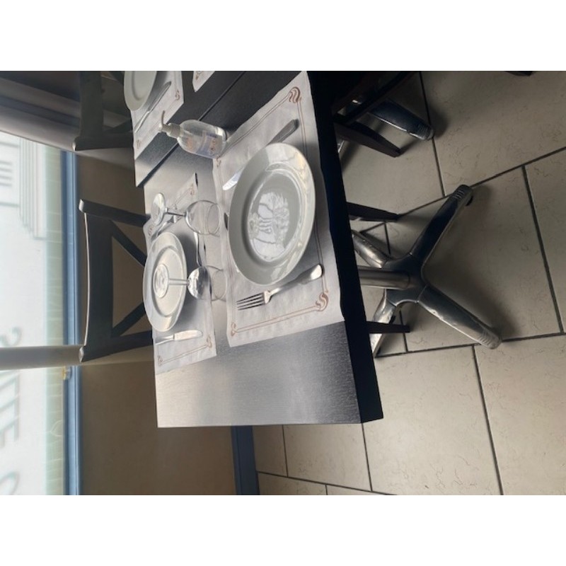 Table Pro Restaurantation + 2 chaises